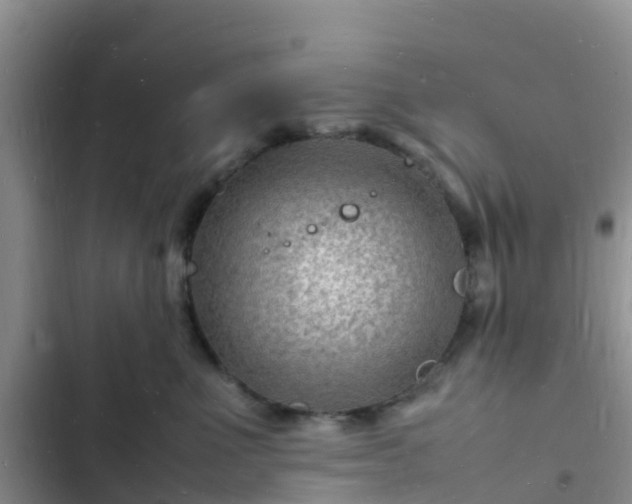 X0000102780523200808251119