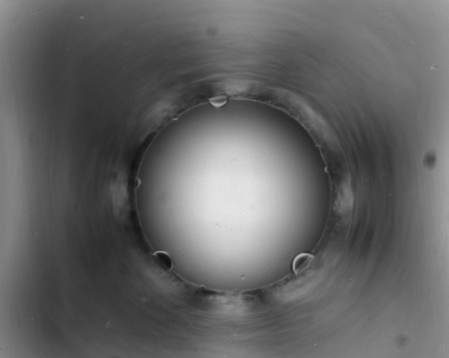 X0000102780524200808251119