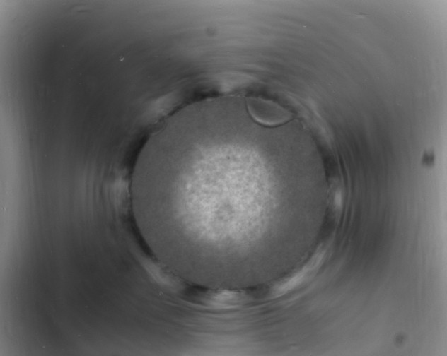 X0000102780527200808251119