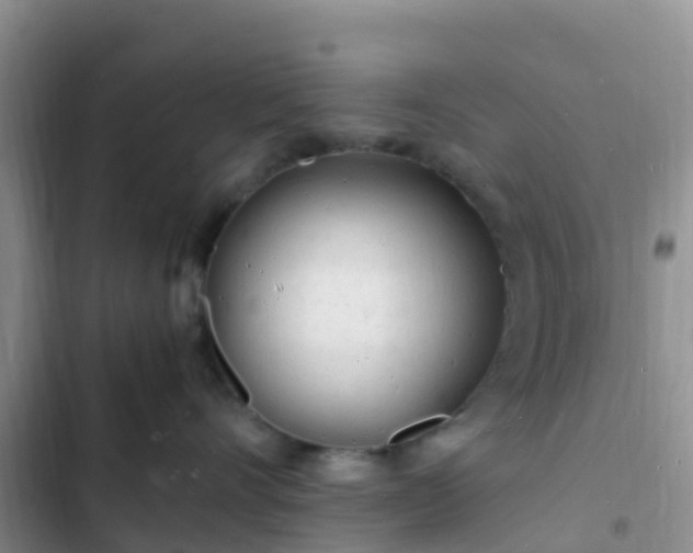 X0000102780528200808251119