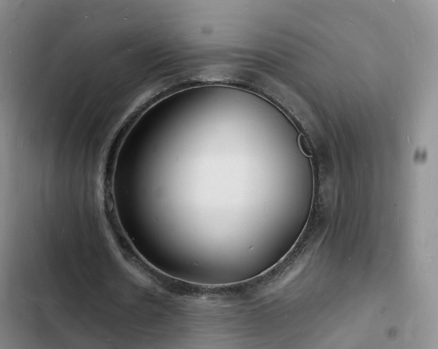 X0000102780530200808251118