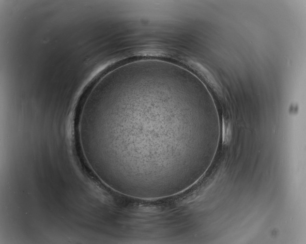 X0000102780531200808251118