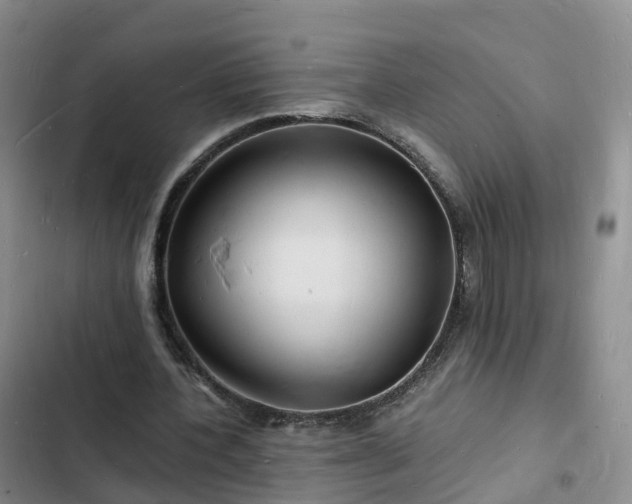 X0000102780532200808251118