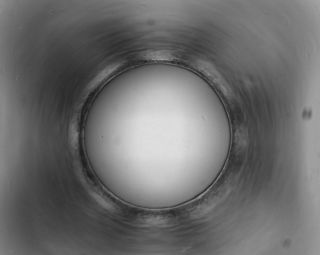 X0000102780533200808251118