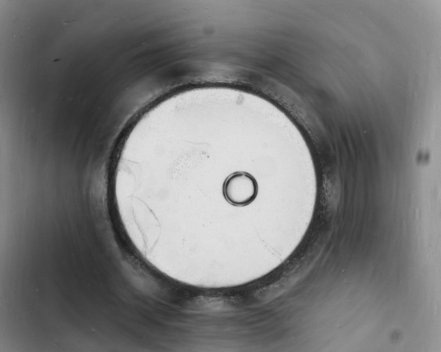 X0000102780534200808251118