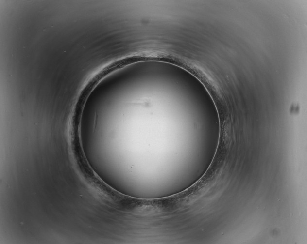 X0000102780536200808251118