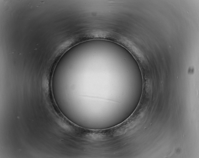 X0000102780537200808251118