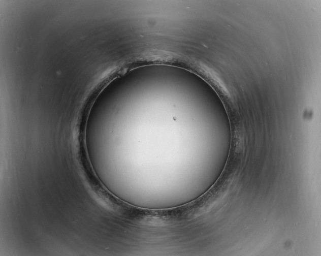 X0000102780538200808251118