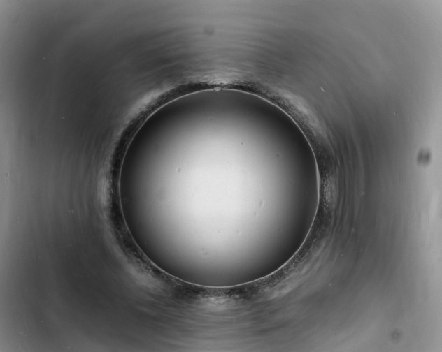 X0000102780540200808251118