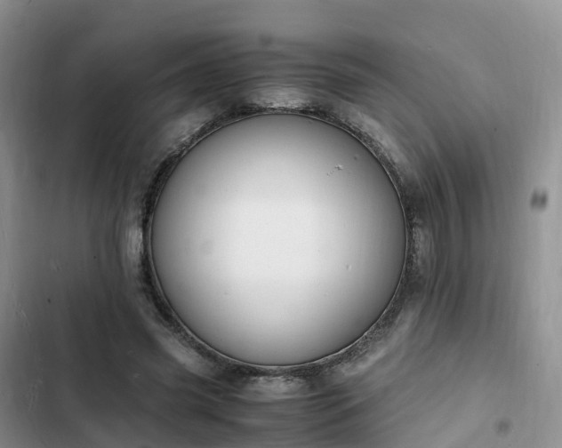 X0000102780541200808251118