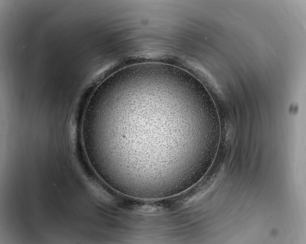 X0000102780542200808251118