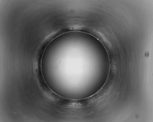 X0000102780543200808251118