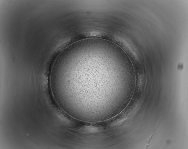 X0000102780545200808251118