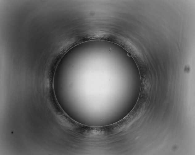 X0000102780546200808251118