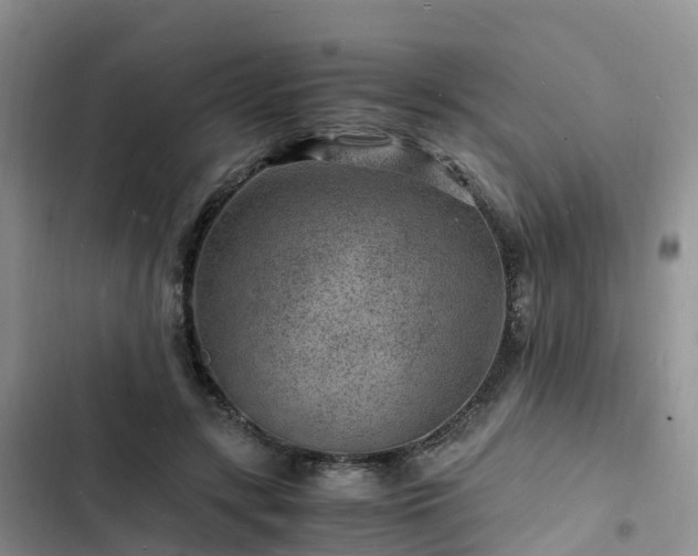 X0000102780547200808251118