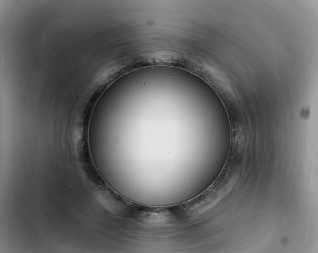 X0000102780548200808251118