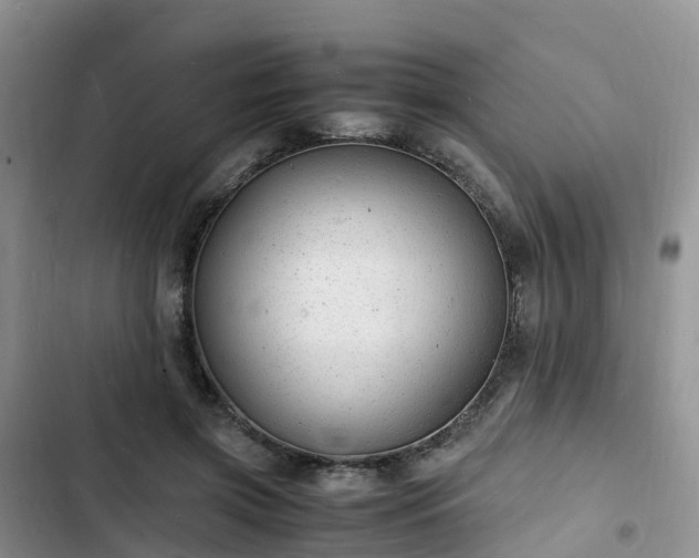 X0000102780549200808251118