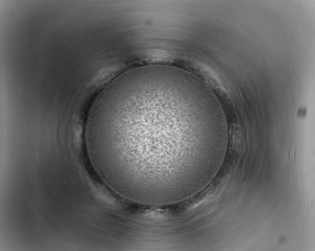 X0000102780550200808251118