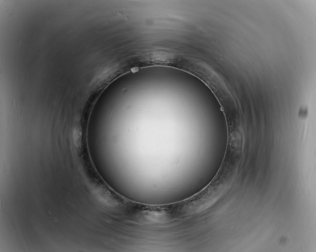 X0000102780552200808251118