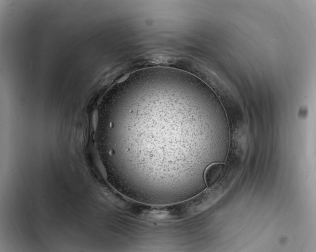 X0000102780554200808251118