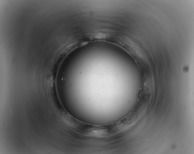 X0000102780555200808251118