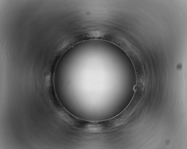 X0000102780556200808251118