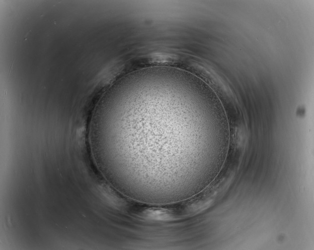 X0000102780557200808251118