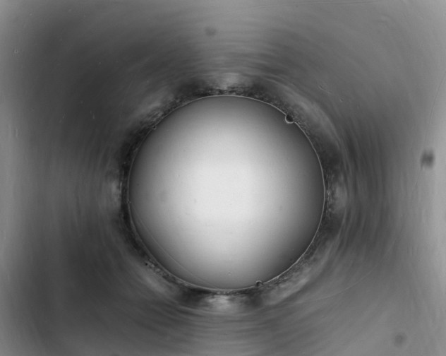 X0000102780558200808251118