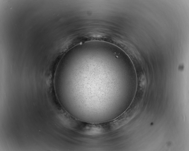 X0000102780559200808251118