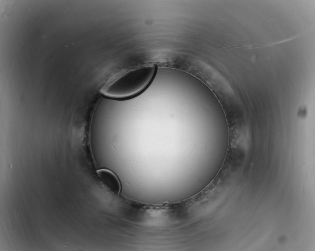 X0000102780560200808251118