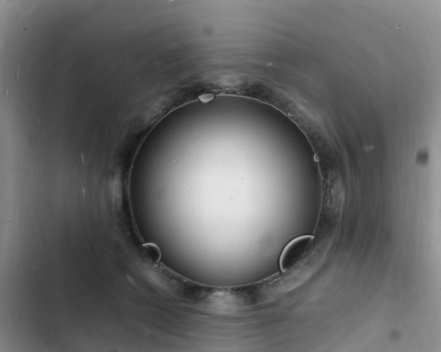 X0000102780562200808251118