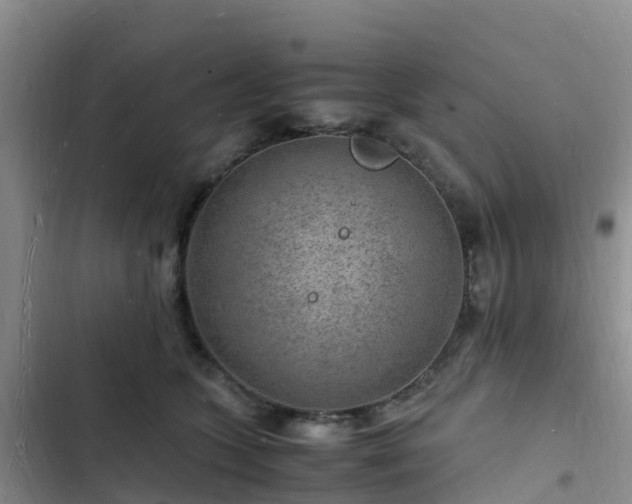 X0000102780563200808251118