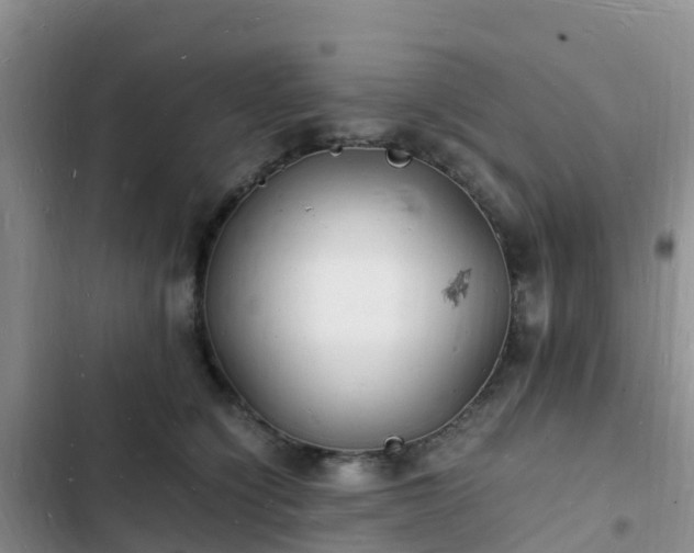 X0000102780564200808251118