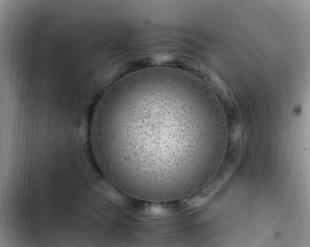 X0000102780565200808251118