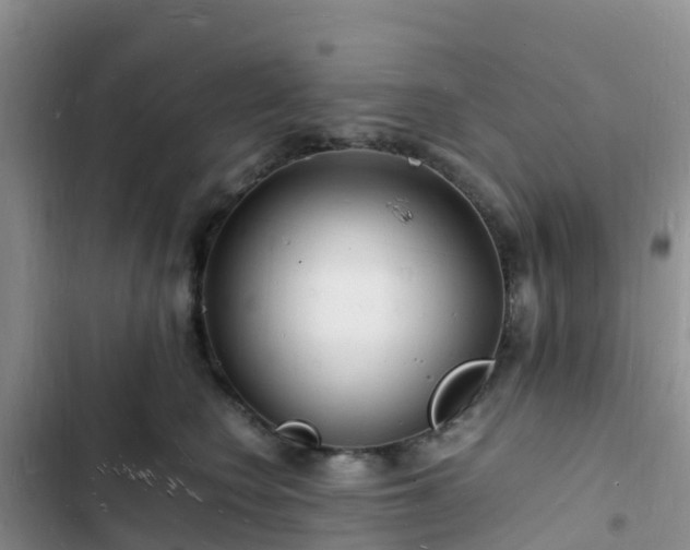 X0000102780566200808251118