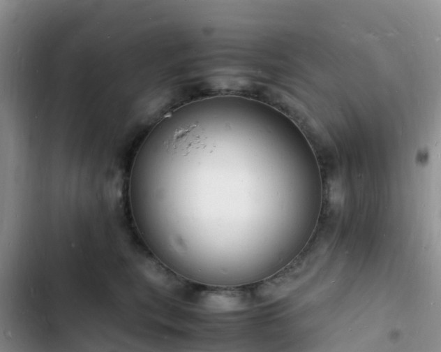 X0000102780567200808251118