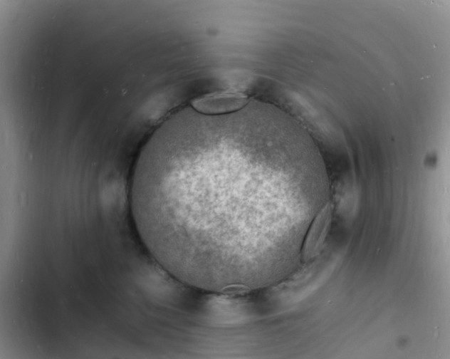 X0000102780568200808251118