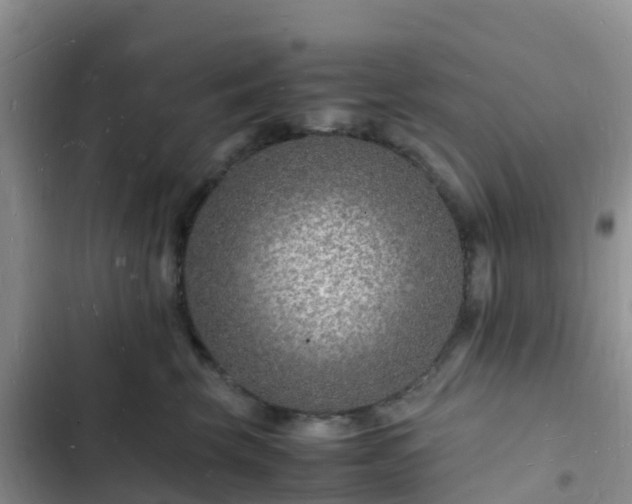 X0000102780569200808251119