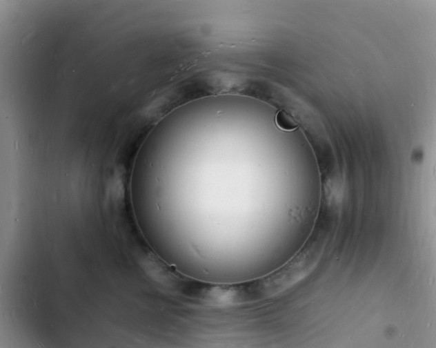 X0000102780570200808251119