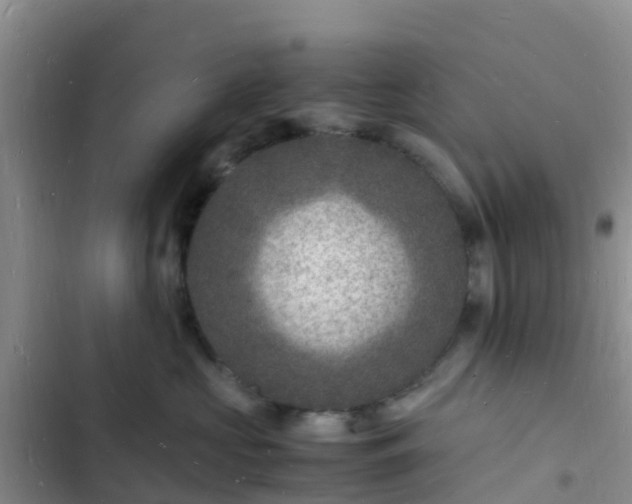 X0000102780573200808251119