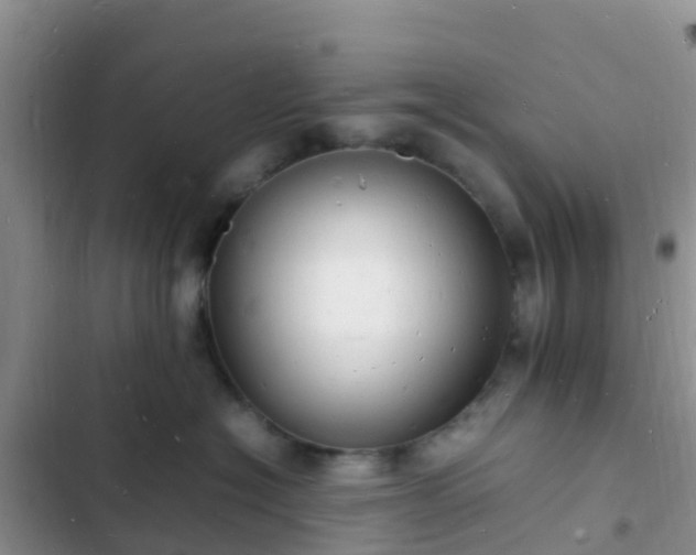 X0000102780574200808251119