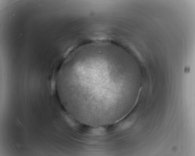 X0000102780576200808251119