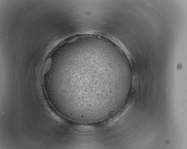 X0000102780577200808251118