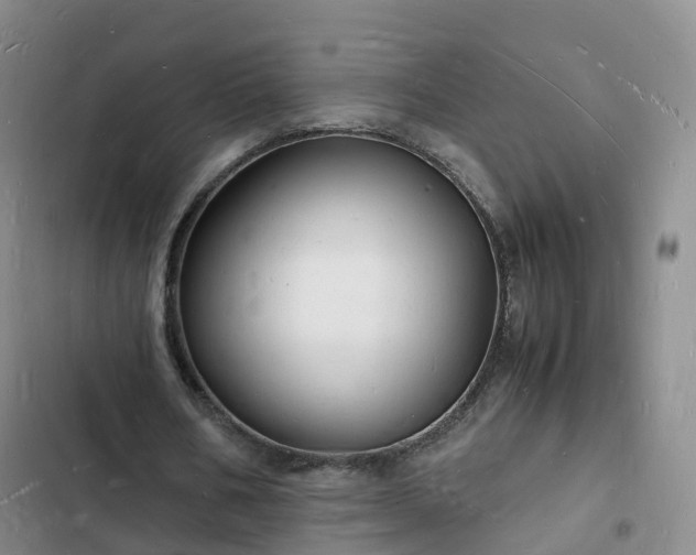 X0000102780578200808251118