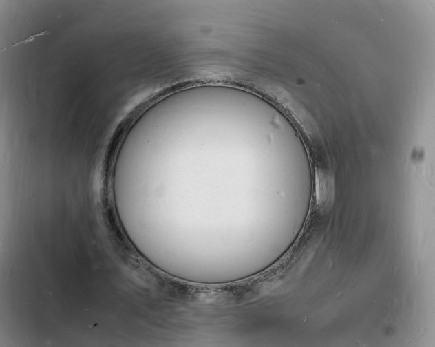 X0000102780579200808251118