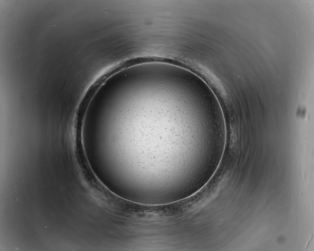 X0000102780580200808251118