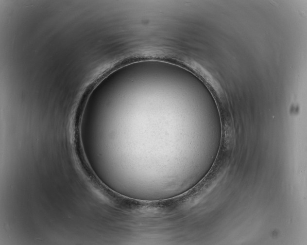 X0000102780581200808251118