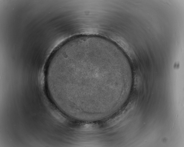 X0000102780584200808251118