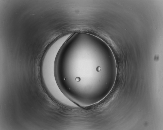 X0000102780585200808251118