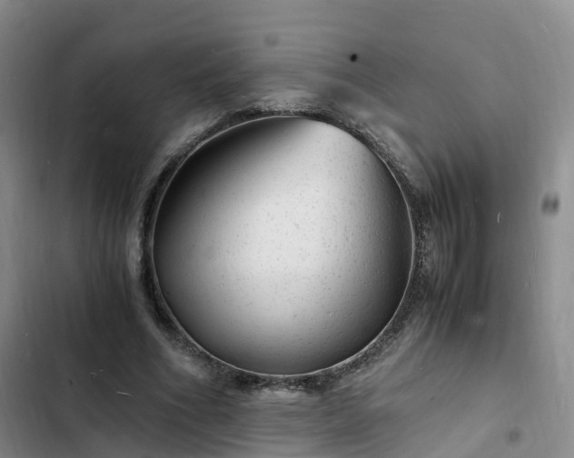 X0000102780586200808251118